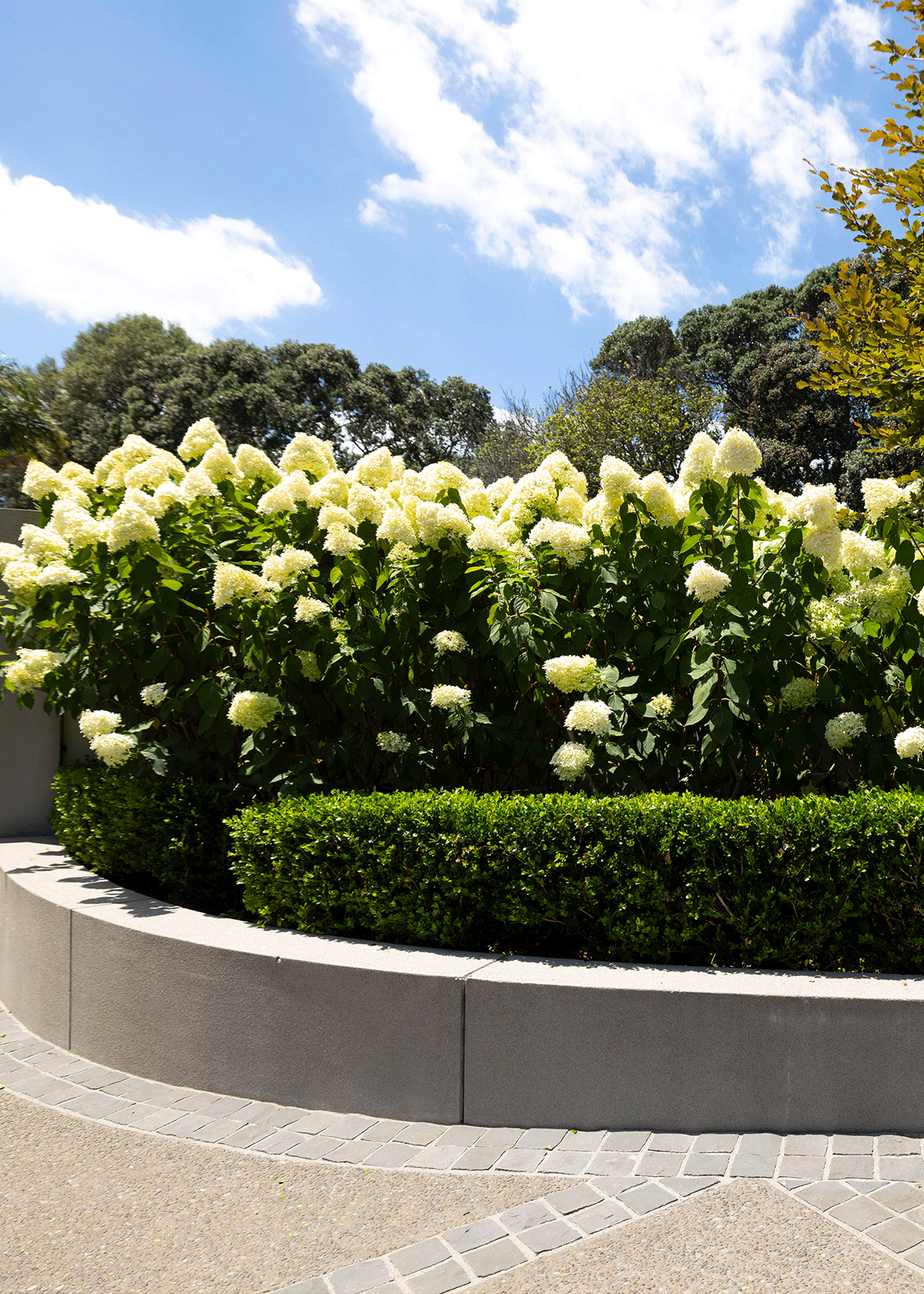 Garden restoration