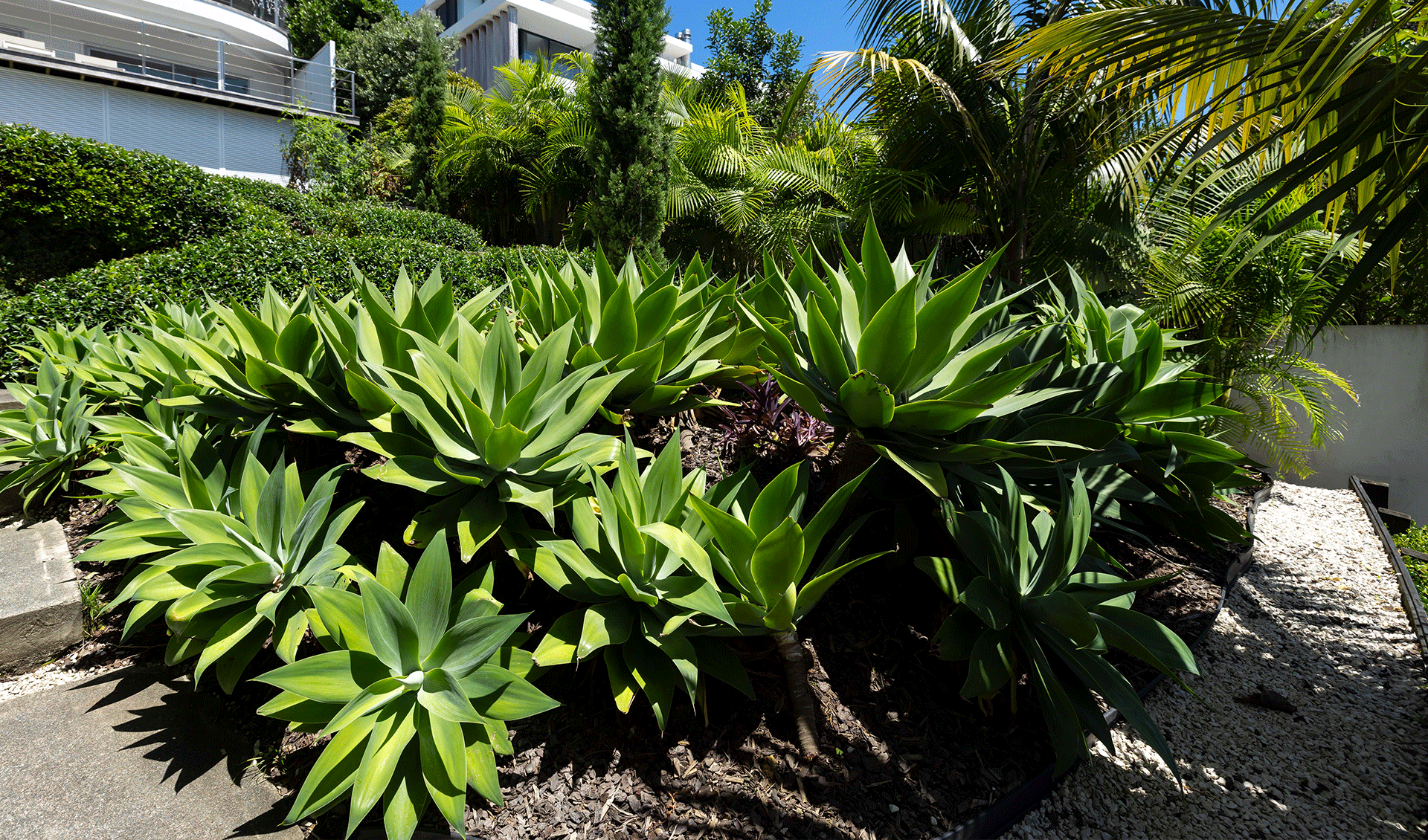 Garden architecture